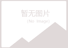 湖北盼夏能源有限公司